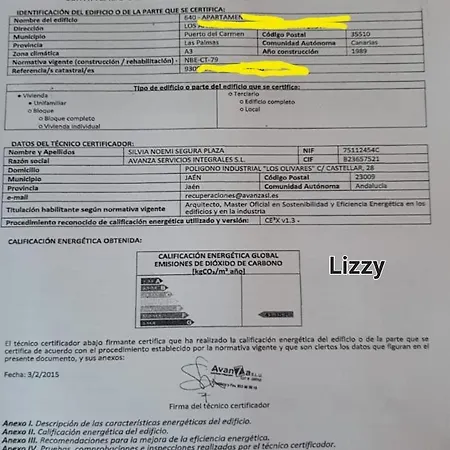 Lizzy Пуэрто дель Кармен